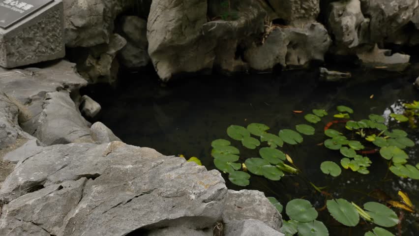 the scenery and landscape inside the Presidential Palace in Nanjing