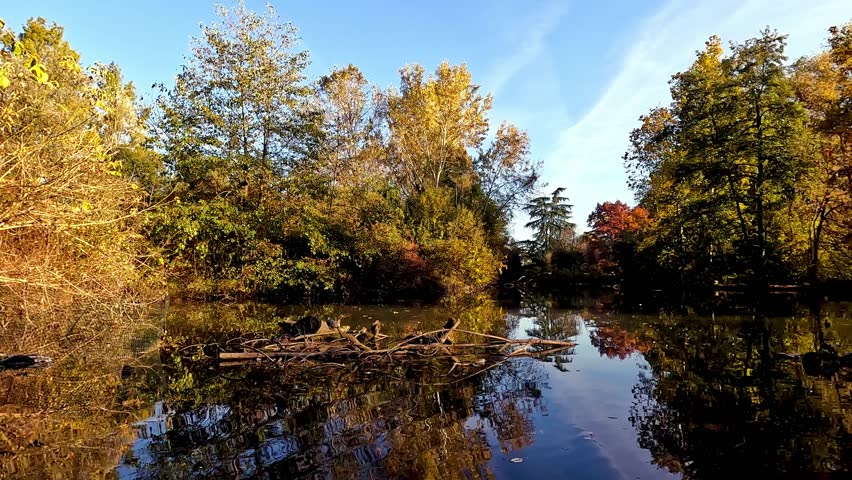 Autumn Foliage in Park with Small Lake and Colorful Trees