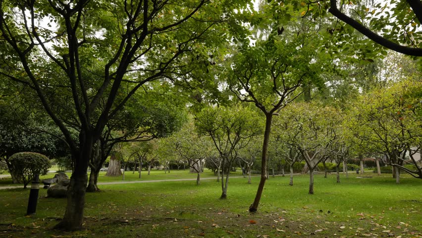 the scenery and landscape inside the Presidential Palace in Nanjing