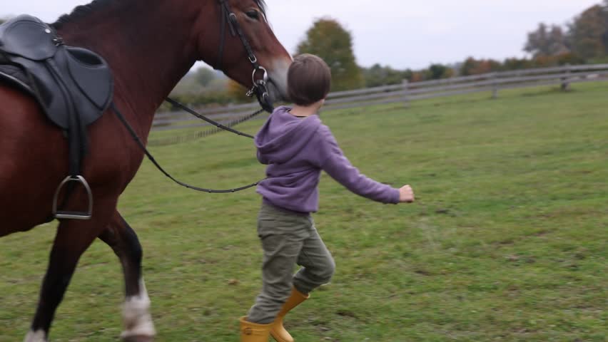 Equine assisted therapy. Little boy leading horse with reins outdoors. Lovely domesticated pet