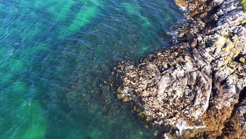 Drone captures rocky coastline, seaweed, and transparent blue-green water in bright natural daylight
