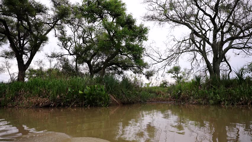Boat moving slowly through a calm river channel between lush green trees in bank, Paraná Delta, Argentina.