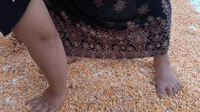 Rural Asian woman spreading corn maize kernels to dry in the sun on a mat. Footage emphasizing agricultural harvest, traditional processing, farming routine, and simple, humble life. - Powered by Shutterstock - Get 15% off with code: PIKWIZARD15