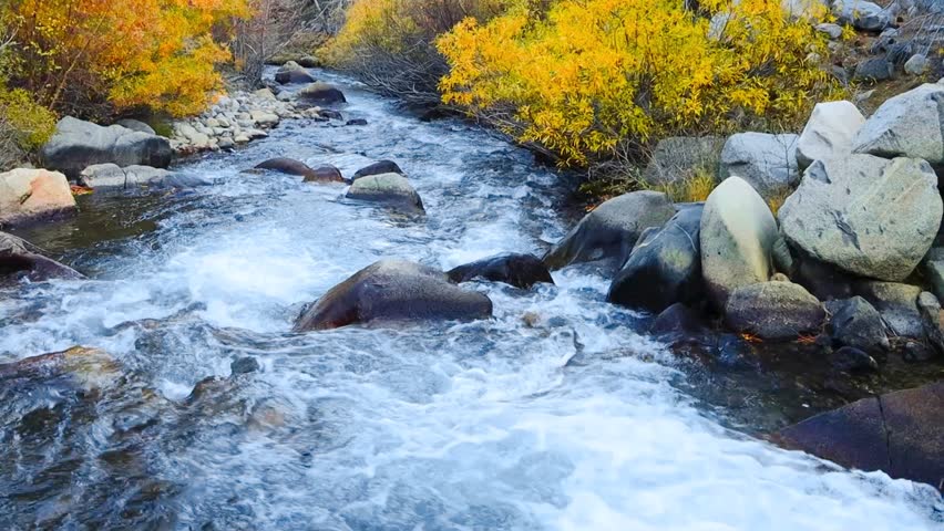 Big Pine Creek during the peak Fall colors in the Sierra Nevada Mountains