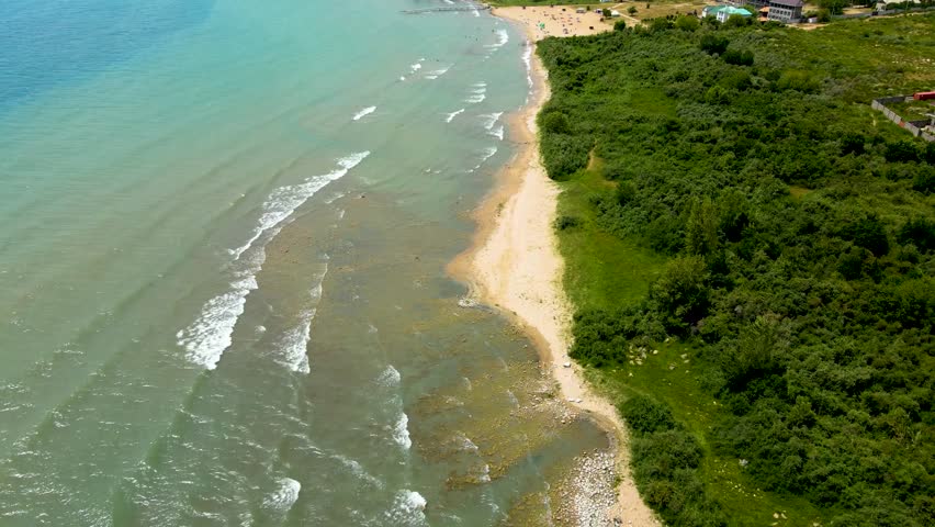 High angle aerial view of a vibrant green shoreline and sandy beach meeting the clear blue and turquoise waters of a lake or sea