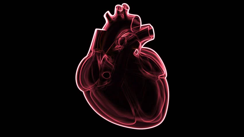 Medical animation of a red, x-ray style human heart beating on an isolated black background. For cardiology and health concepts