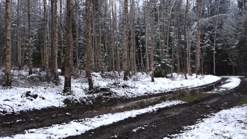 Winter time forest brown and white muddy road with melted snow in a thick birch and pine forest during cloudy day with white fluffy and cold snow on ground foliage and on tree branches. No people.