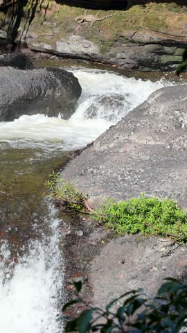 Sunlit river rapids cascade over rocks in lush forest, captured with smooth panning camera movement