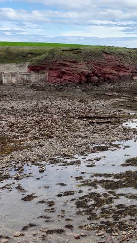 Camera pans over red sandstone cliffs, rocky shore, tidal pools, and seaweed at low tide.