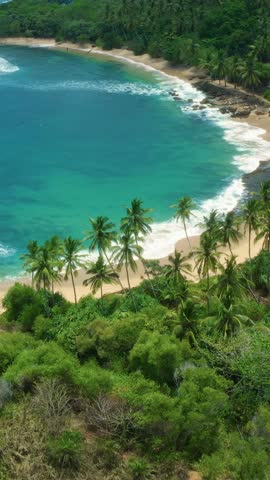 Tropical beach with turquoise ocean, palm trees, and green jungle in Sri Lanka. Concept for travel, vacation, advertisement, exotic escape, and high-quality nature backgrounds.