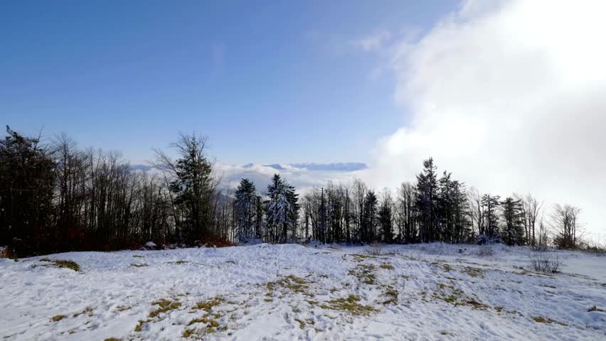 Winter landscape with snow covered ground and trees against a blue sky backdrop