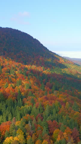 A vibrant autumn landscape with a forested mountain ridge, showcasing stunning fall colors. Aerial shot highlights reds, oranges, and greens, evoking tranquility and natural beauty.