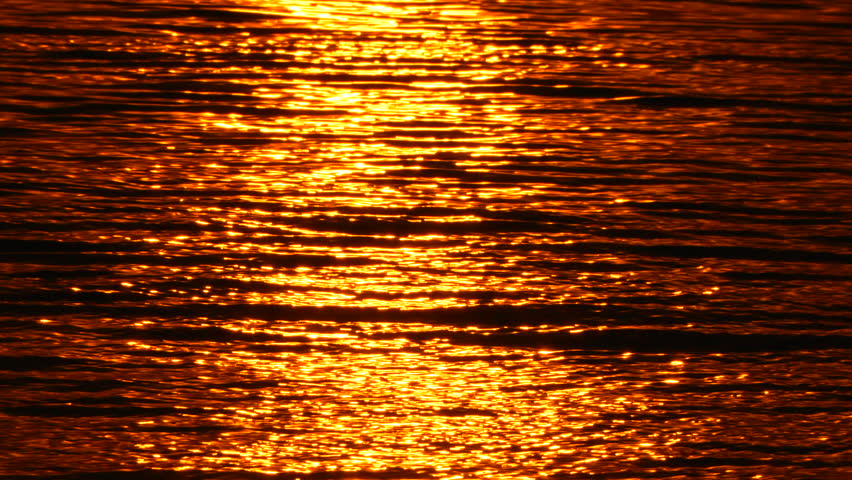 Water sunlight reflection on calm surface, shimmering golden ripples at sunset vertical video