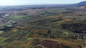 Aerial view of vineyards in autumn colors interspersed with green fields, creating a patchwork landscape, Rouffach, Grand Est, France. - Powered by Shutterstock - Get 15% off with code: PIKWIZARD15