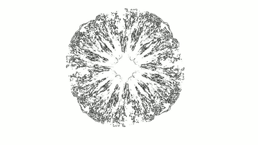 A monochrome, animated abstract background featuring a complex, radial pattern with distorted and turbulent lines that pulse and expand in an oval or circular shape.