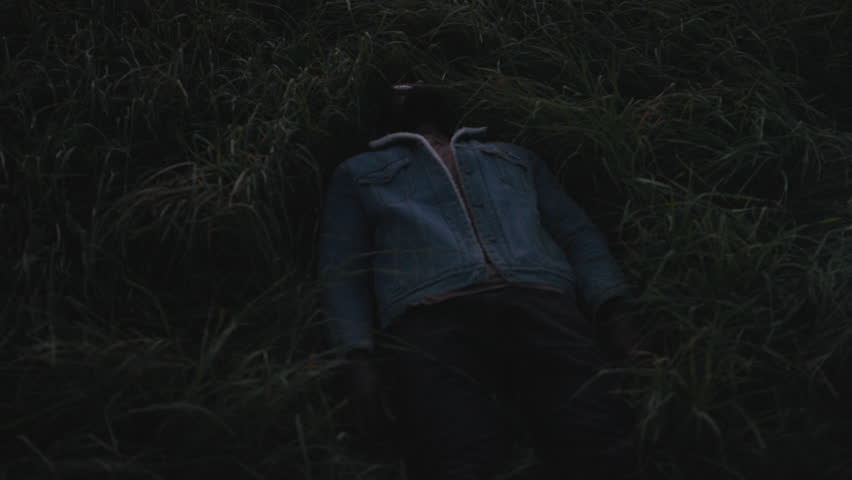 Field grass close-up shot with a figure lying down at dusk