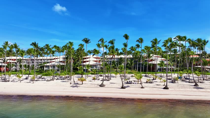 Caribbean shoreline with coconut palms on a resort sandy beach. Summer vacation. Cruise ship destination. Nature sea voyage landscape backdrop. Seaside vacation.
