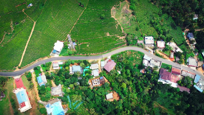 Aerial view of lush green tea plantations in Vagamon, a serene hill station town located on the Kottayam–Idukki border of Kerala, India.