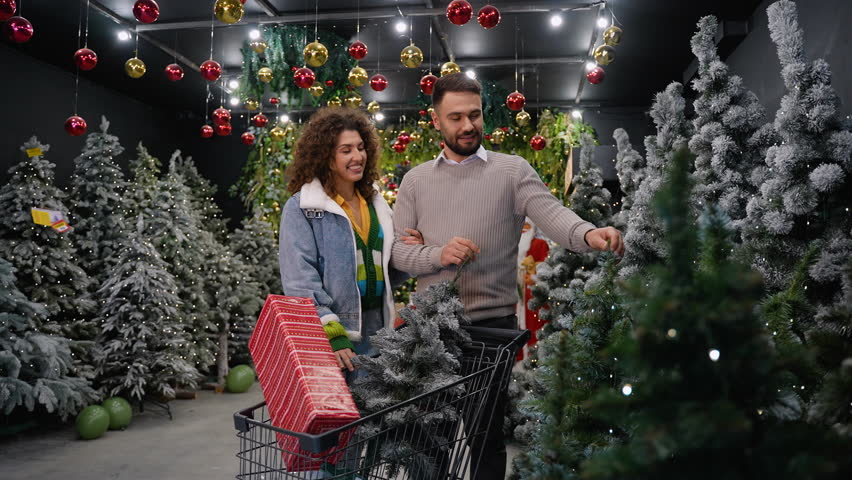 Couple choosing discounted Christmas tree in a decorated store