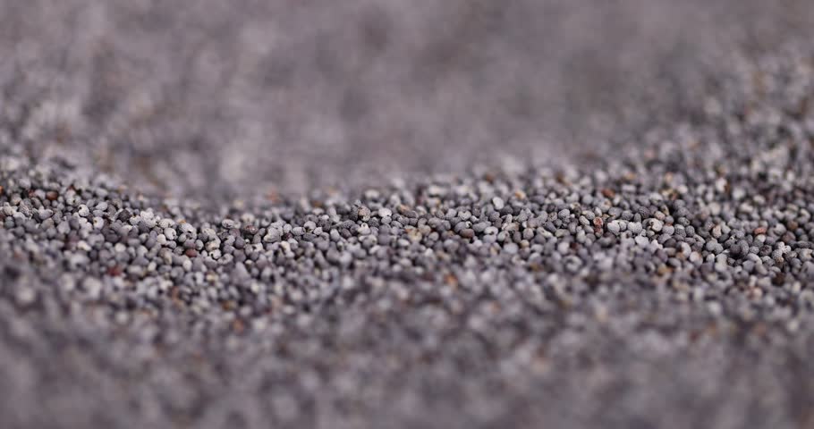 poppy seeds that are used in cooking and dessert production, scattered poppy seeds for cooking