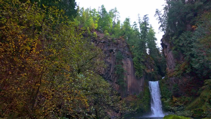 A breathtaking view of Toketee Falls, showcasing its iconic columnar basalt formations and its two dramatic tiers in the lush Oregon forest