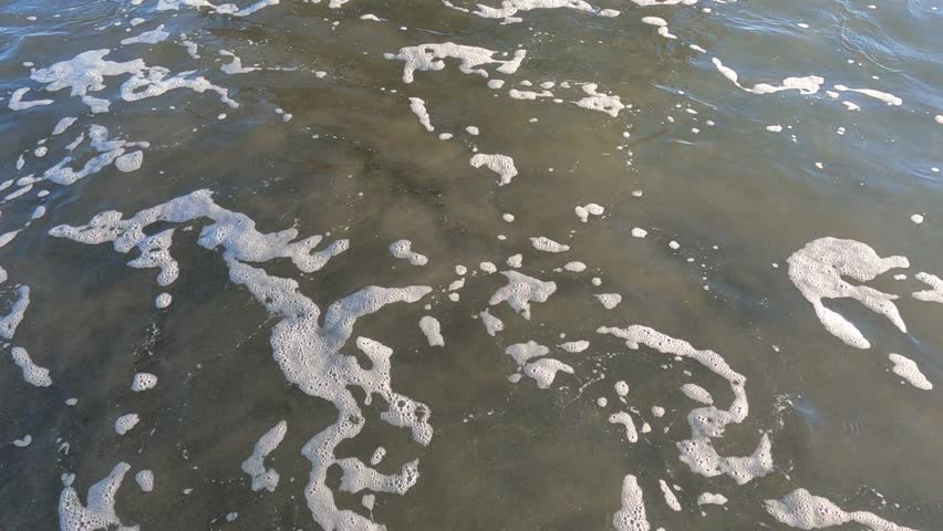A poignant view of the rusted skeletal remains of the Peter Iredale shipwreck, standing sentinel on the sandy beach within Fort Stevens State Park on the Oregon Coast