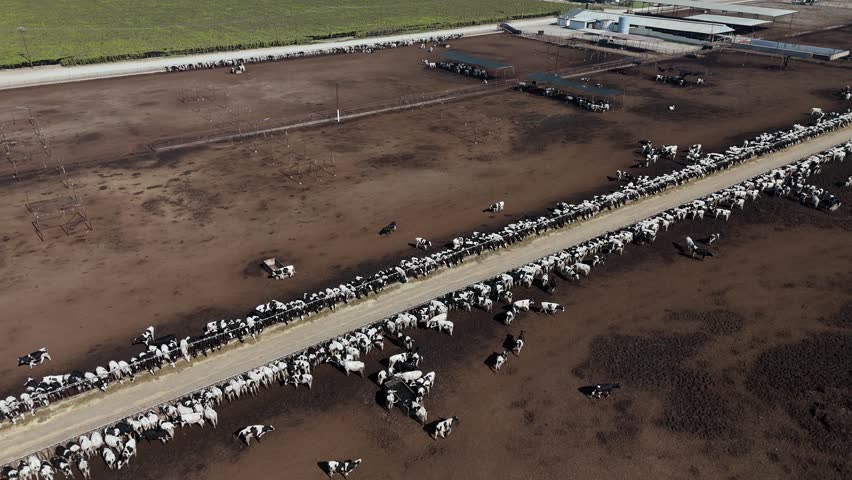 Aerial Over California Dairy Farm — Central Valley, California