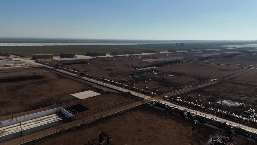 Aerial Over California Dairy Farm — Central Valley, California