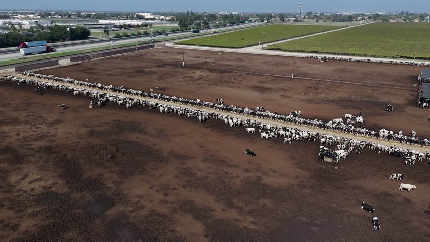 Aerial Over California Dairy Farm — Central Valley, California