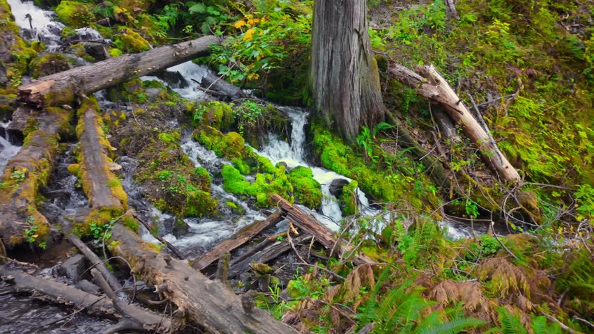 A picturesque view of Wahkeena Creek, with its clear waters gracefully flowing over rocks and through lush mossy terrain within the stunning Columbia River Gorge National Scenic Area in Oregon