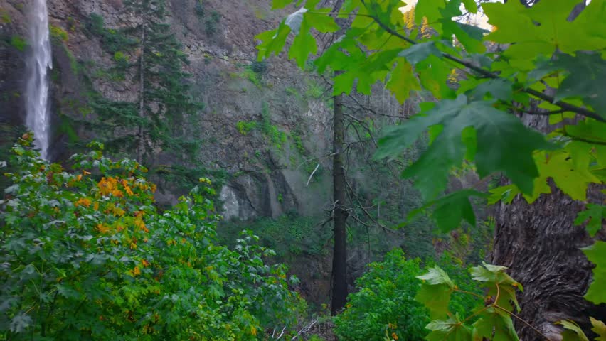 A spectacular view of the colossal, two-tiered Multnomah Falls, spanning the upper and lower cascades within the stunning Columbia River Gorge National Scenic Area in Oregon
