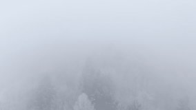 AERIAL: Misty winter forest where snow and frost blanket the trees. Mix of conifers and bare deciduous trees fades into fog, Tranquil and ethereal scene of beauty and natural harmony in cold season. - Powered by Shutterstock - Get 15% off with code: PIKWIZARD15