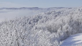 AERIAL: Snowy forest stretches across rolling hills beneath a sunny winter sky. Frost glistens on conifers and bare deciduous trees, while soft fog lingers in valley. Calm beauty of frozen landscape. - Powered by Shutterstock - Get 15% off with code: PIKWIZARD15