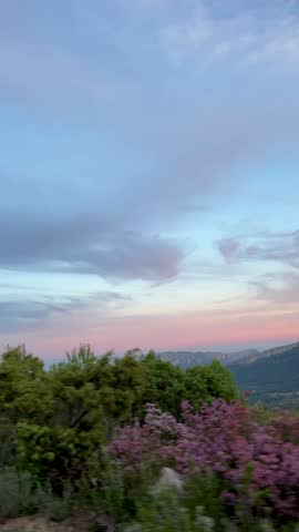 Scenic view of vibrant flora and distant mountains at dusk, showcasing a gradual camera pan revealing the serene landscape and colorful sky