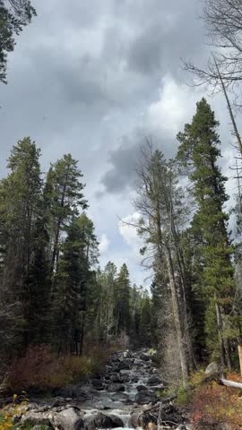 A rushing stream flows across a hiking trail in Grand Teton National Park. Autumn foliage with trees in shades of yellow, orange, and green frame the scene