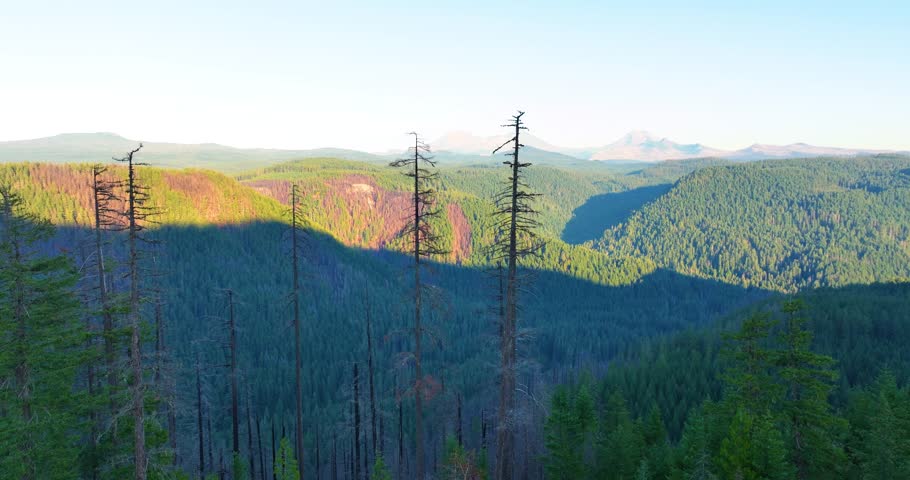 Aerial drone flight over Oregon forest with Three Sisters mountains glowing at s