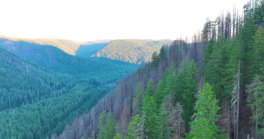 Sunset Horizon Over Oregon’s Forested Ridges
