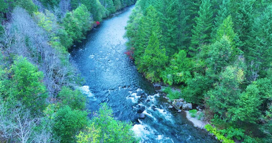McKenzie River Aerial Drone Oregon