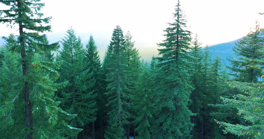 Aerial Drone View Over Umpqua National Forest Oregon