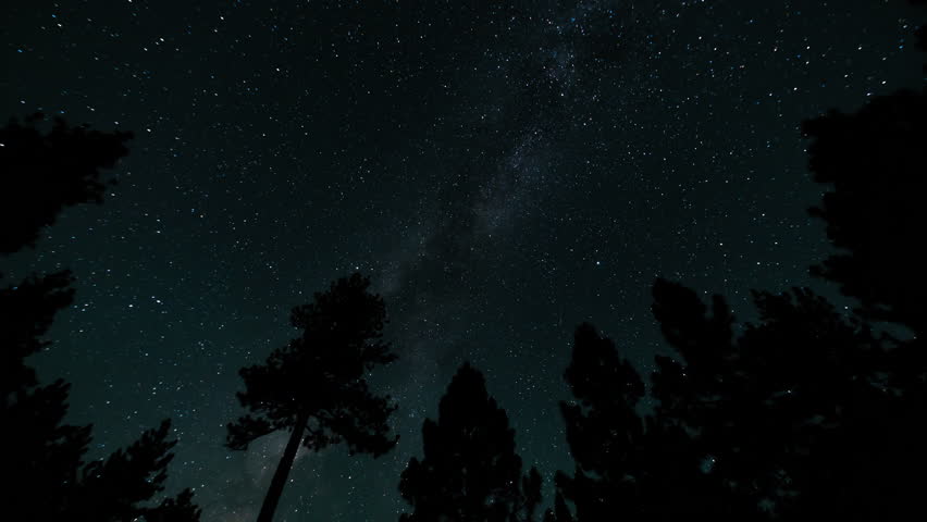 Milky Way Galaxy in Southwest Sky Over Mountain Trees 15mm Astrophotography Time Lapse California USA