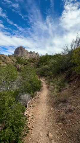 Dusty Trail Through Green Shrubs with Rocky Mountain Looming in the Distance (Big Bend National Park, Texas, USA)