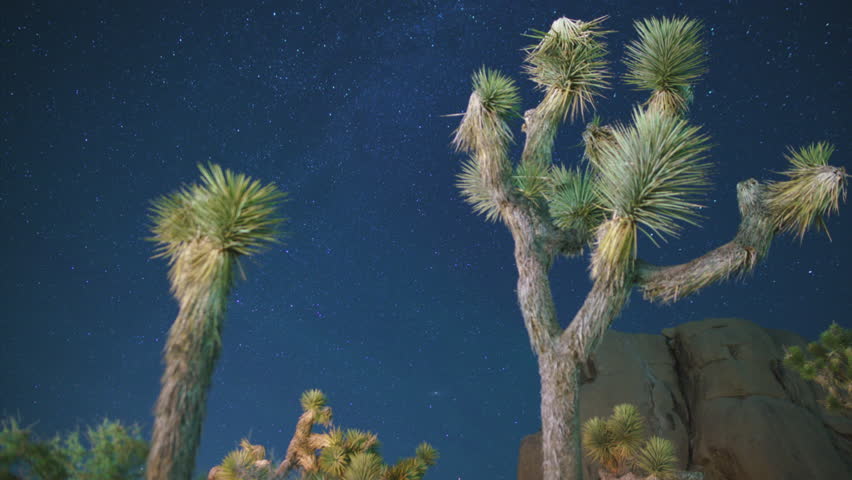 Joshua Tree National Park Aurora Airglow Milky Way Galaxy Over Rock Formation and Joshua Tree Northeast Sky Dolly R Astrophotography Time Lapse California USA