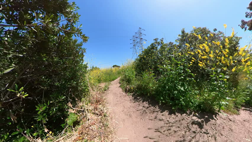 Kenneth Hahn Park Mountain Bike Forest POV Front View 05 California USA