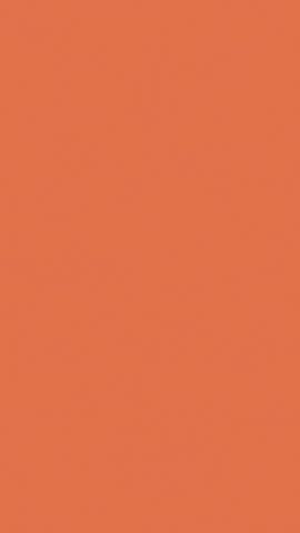 Floral Frame Design for Social Media Story Wedding Invitation Blank Background