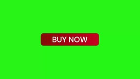 Click animation of red buy now button with cursor on green screen - Powered by Shutterstock - Get 15% off with code: PIKWIZARD15