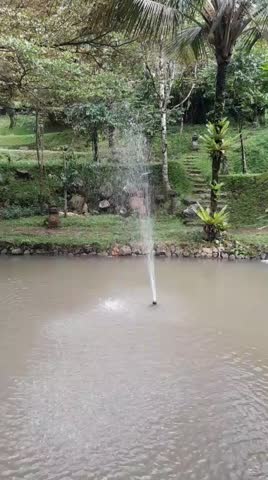 fountain in the middle of the fish pond