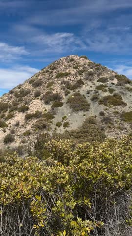 Round Rolling Mountain Dotted With Green Shrubs Next To Dusty Trail (Big Bend National Park, Texas, USA)