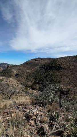 Trail Through Rolling Western Mountains and Bright Blue Skies (Big Bend National Park, Texas, USA)