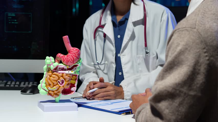 Female doctor explaining digestive system anatomy and diagnosis using intestinal model.