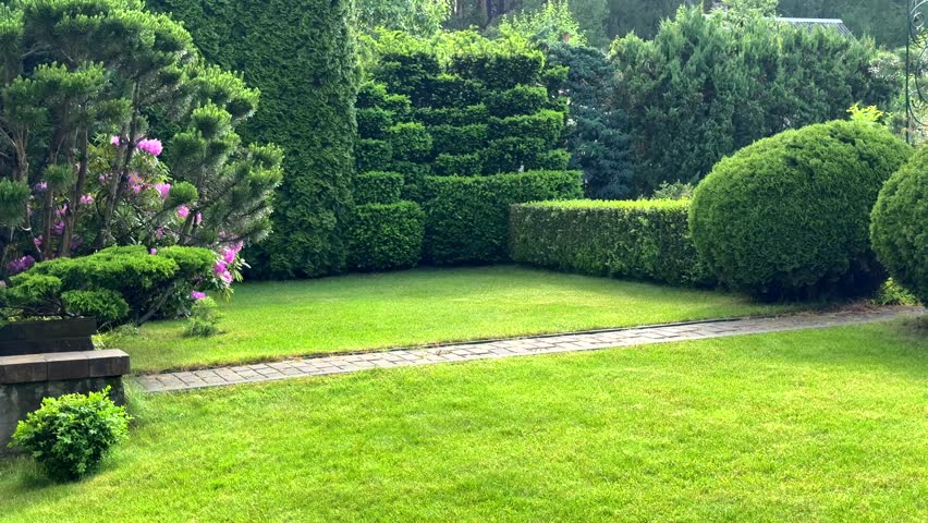 A bright, well-maintained formal garden with a lush green lawn, a brick path, and various manicured evergreen shrubs, including spherical topiary and layered hedges, on a sunny day